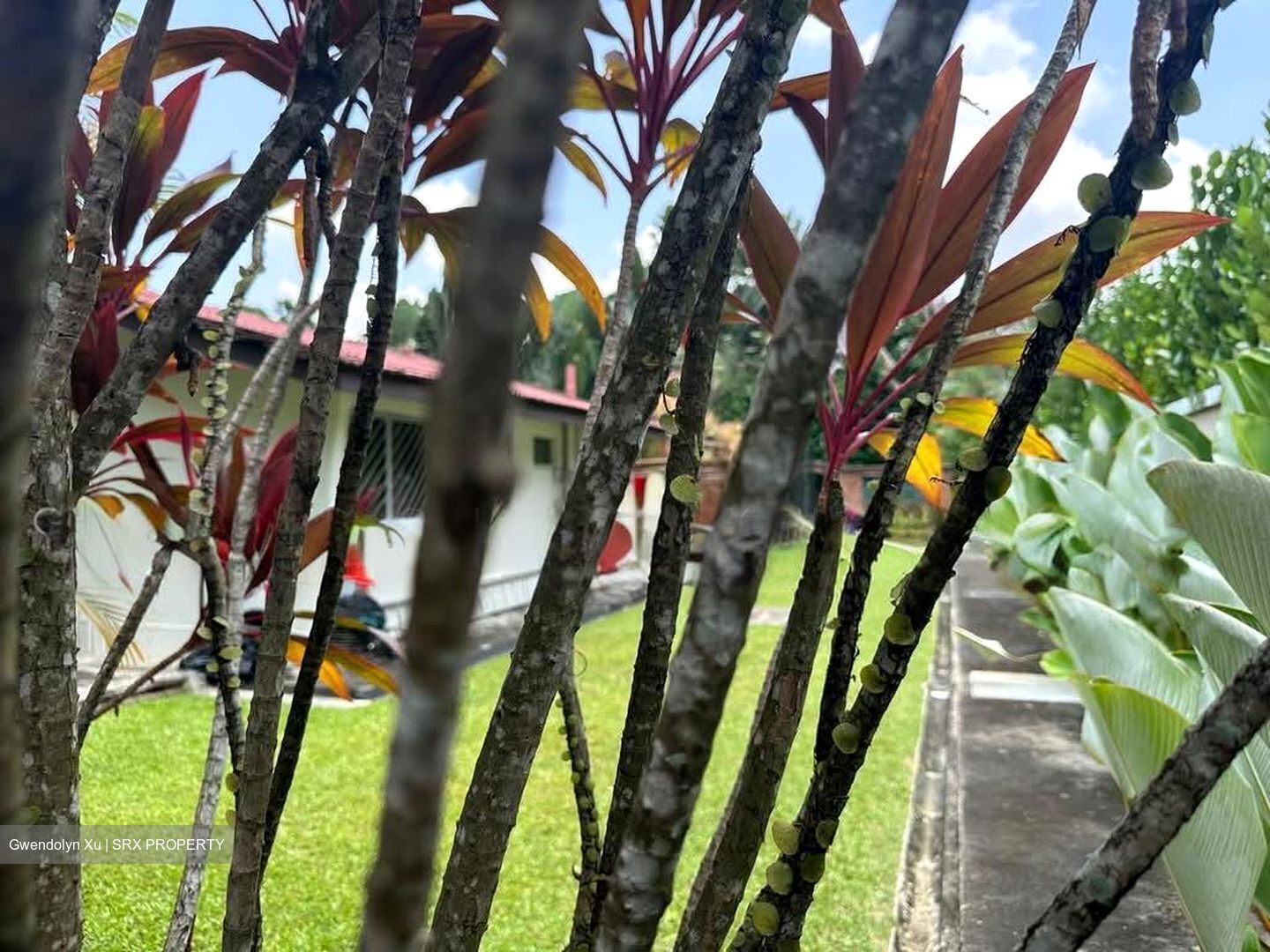 Binjai Park (D21), Detached #594583571